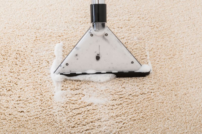 Wet Carpet Drying