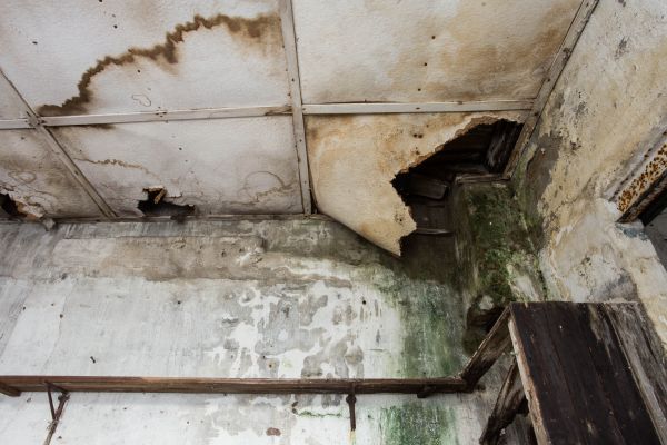 Water Damage Service in Humble