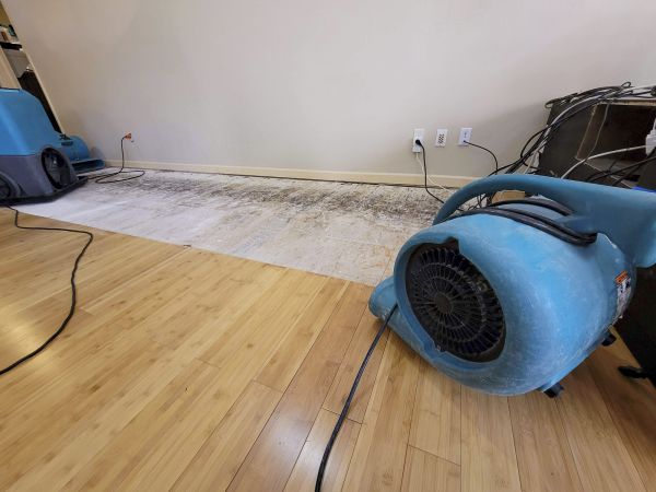Water Damage Mitigation in Humble