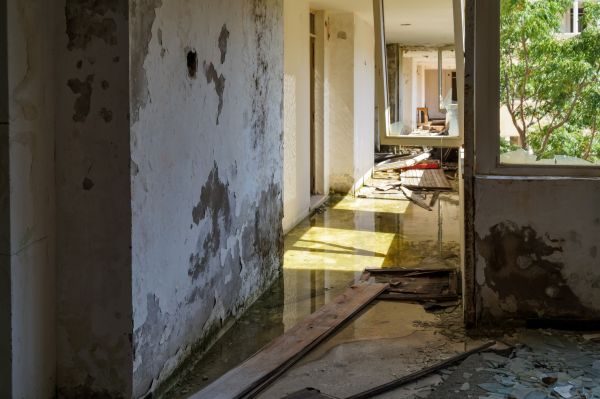 Cost of Water Removal Service in Humble