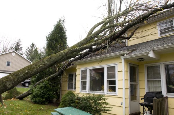 Storm Damage Mitigation in Humble