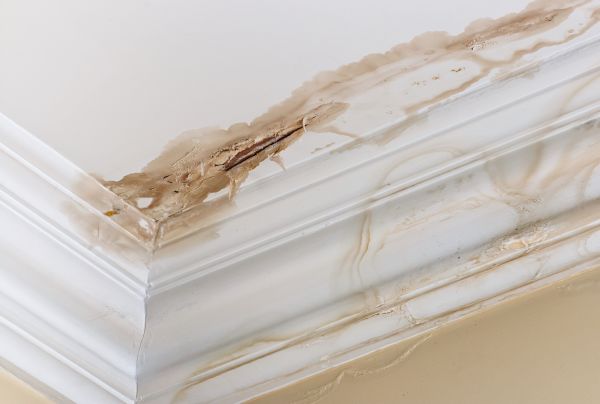 Water Damage Recovery in Humble